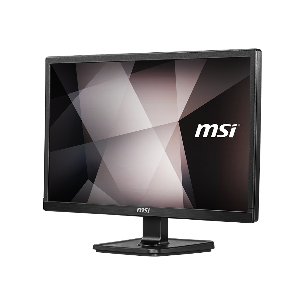 MSI PRO MP221